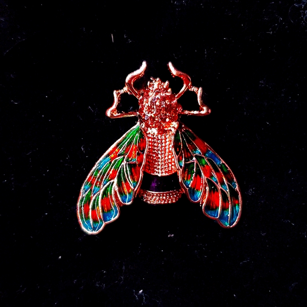 Rainbow 🌈 Bee 🐝 Laquer Pendant/Brooch